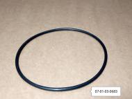 07-01-03-0683 - Oring 100x3 piasty BPW 10-12t ECO