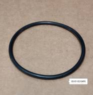 03-01-02-0495 - Oring  47,29x2,62 p-py wtr.DAF XF105/106 MX11/13
