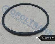 03-01-01-0403 - Oring 55x2,5 pompy paliwa VOLVO FE/FL,Renault (RVI) Premium, Midlum-05r-