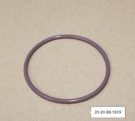 01-01-00-1519 - Oring 60x3 filtra oleju Renault (RVI) Mascot górny