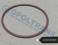 02-07-02-0041 - Oring 61,6x2,62 turbo.IVECO Stralis Trak.-13r-