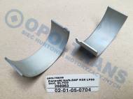 02-01-05-0704 - Panewki korb.DAF N25 LF55 2szt. GLYCO