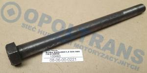 08-06-00-0221 - Śruba M20x260/1,5 DIN 960/10.9 SW30