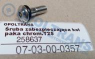 07-03-00-0357 - Śruba zabezpieczająca kołpaka chrom.T25