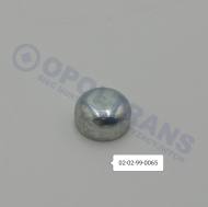 02-02-99-0065 - Zaślepka głowicy sil.IV E-cargo 15r- Fi10 OE