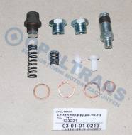 03-01-01-0213 - Zestaw naprawczy pompy paliwa VOLVO FH12, TW =