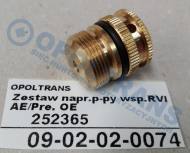 09-02-02-0074 - Zestaw naprawczy pompy wspomagania układu kierowniczego Renault (RVI) AE Magnum /Premium OE
