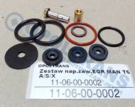 11-06-00-0002 - Zestaw naprawczy zaworu EGR MAN TGA/S/X